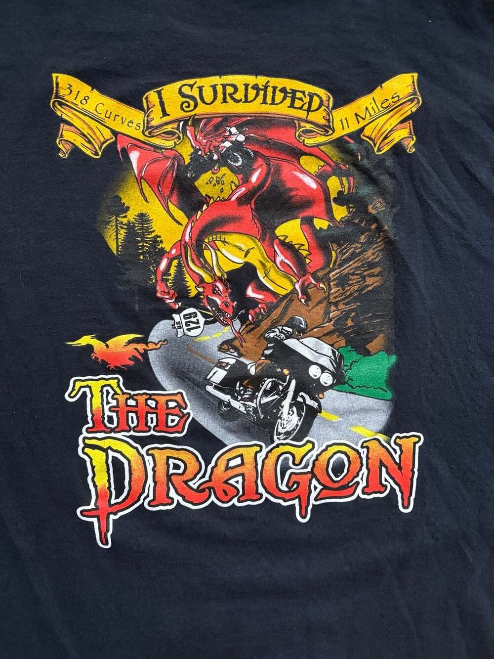 Gildan Deal's Gap Motorcycle Resort The Dragon I Survived T-Shirt Large